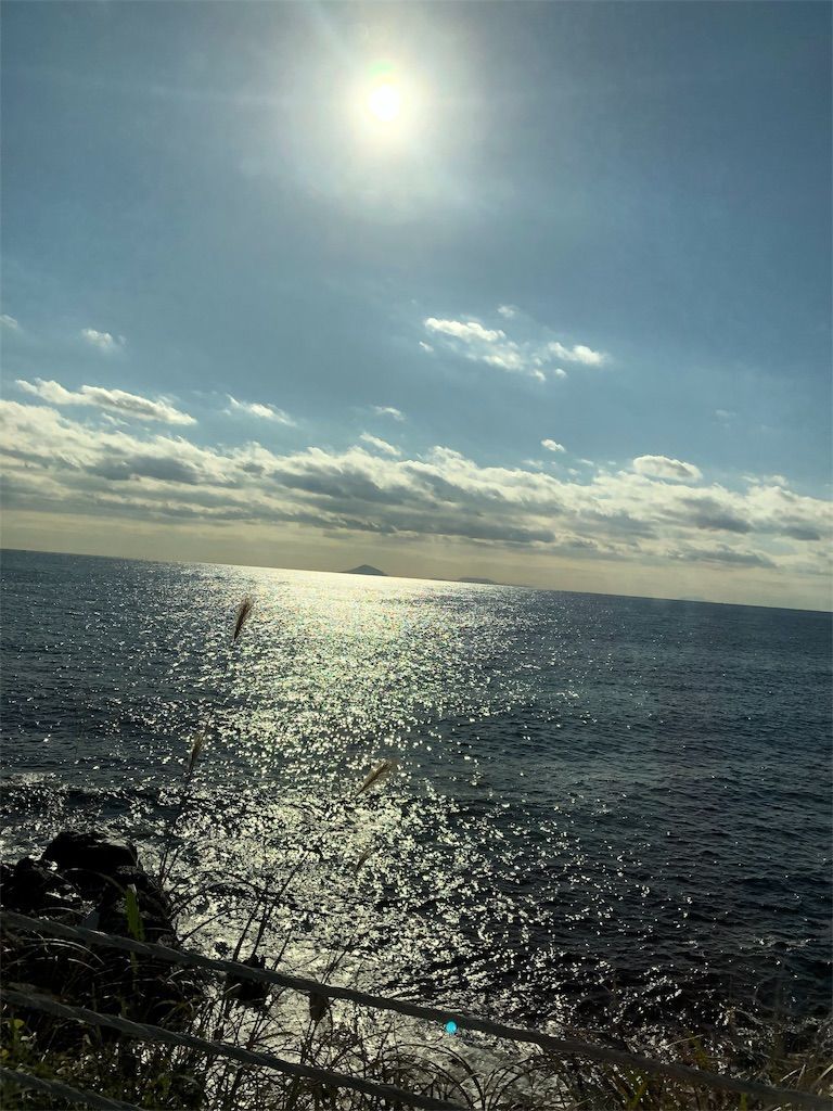 f:id:lovely088:20190105122705j:plain f:id:lovely088:20190105122705j:plain
