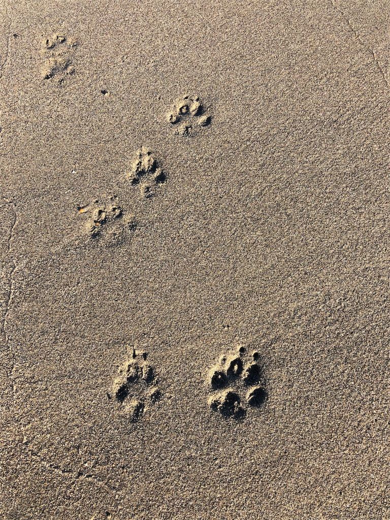 f:id:lovely088:20190105122731j:image