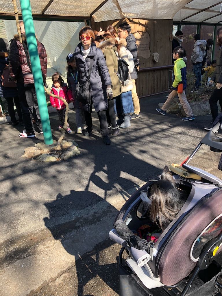 f:id:lovely088:20190105122742j:image