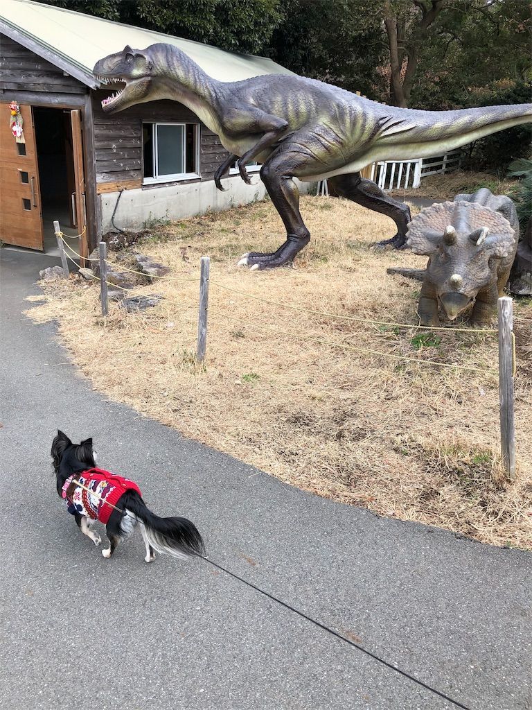 f:id:lovely088:20190105122840j:image