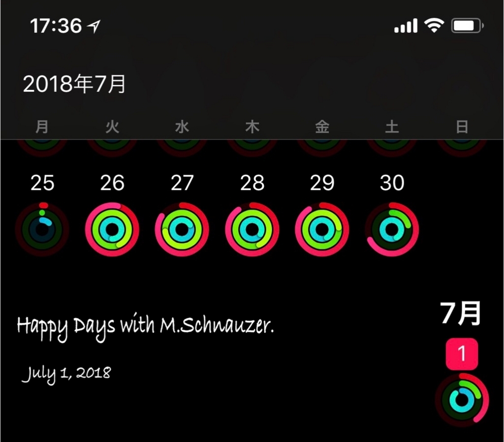 f:id:lovelyanzu:20180701175000j:plain f:id:lovelyanzu:20180701175000j:plain