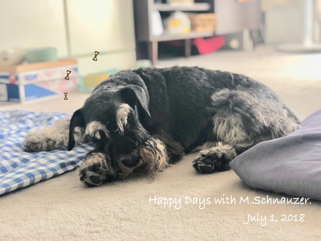 f:id:lovelyanzu:20180701175036j:plain f:id:lovelyanzu:20180701175036j:plain