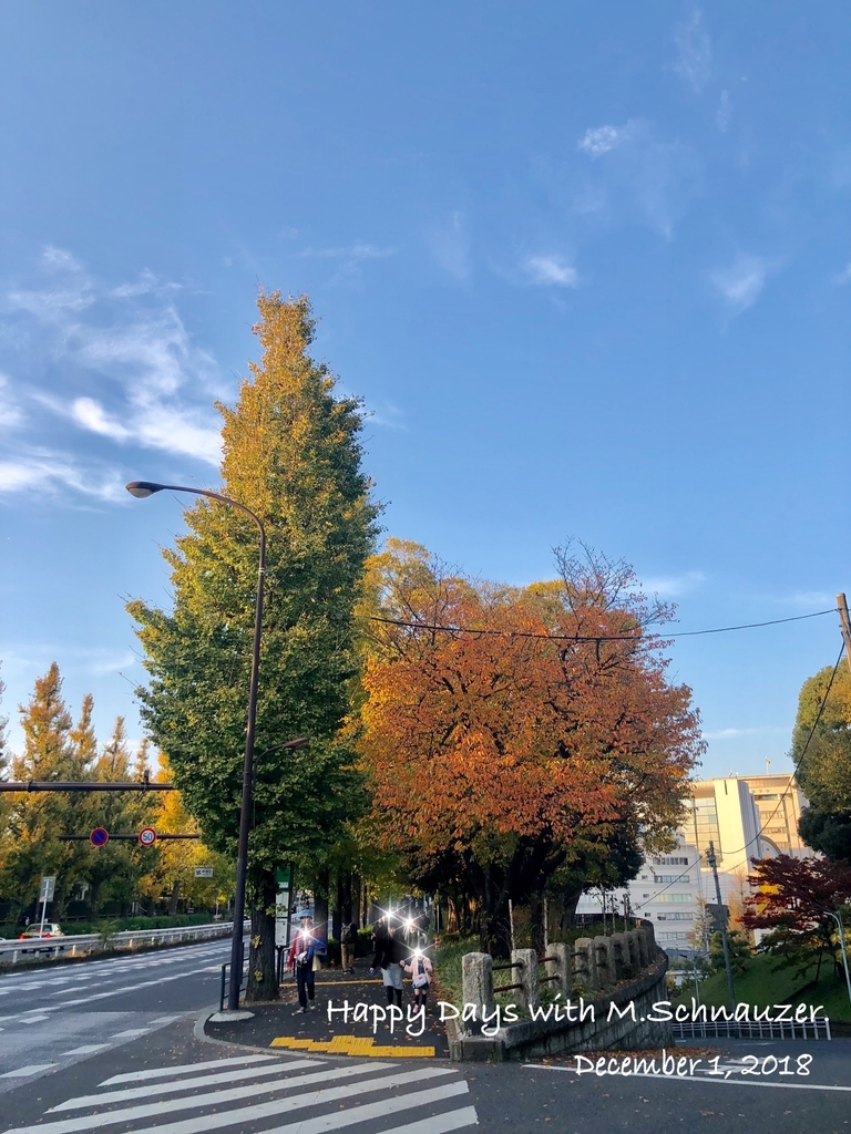 f:id:lovelyanzu:20181202215212j:plain