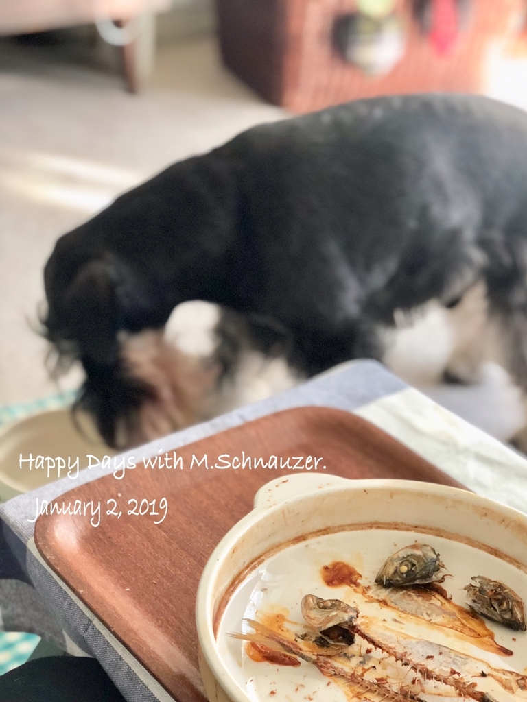f:id:lovelyanzu:20190102100430j:plain