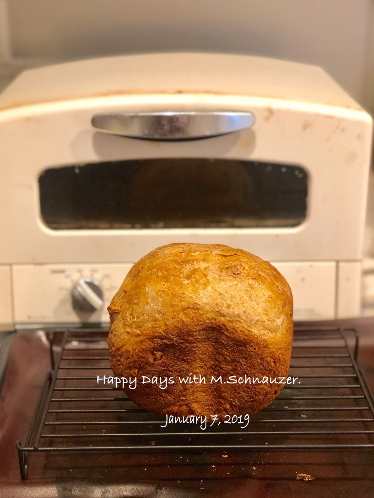 f:id:lovelyanzu:20190107105849j:plain