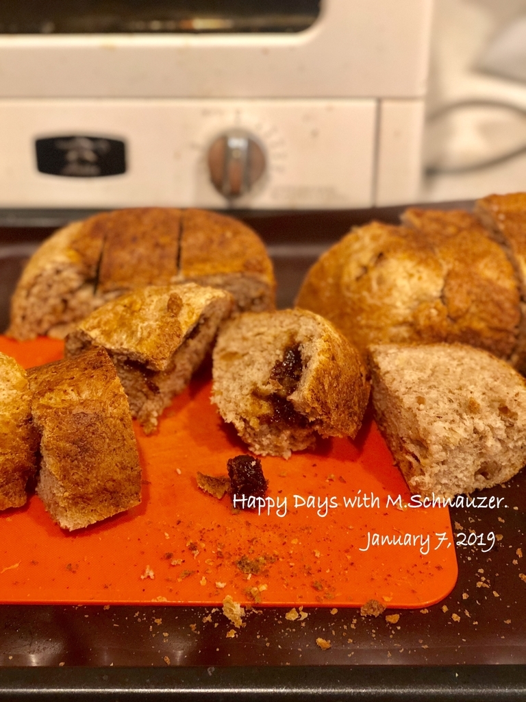 f:id:lovelyanzu:20190107110517j:plain