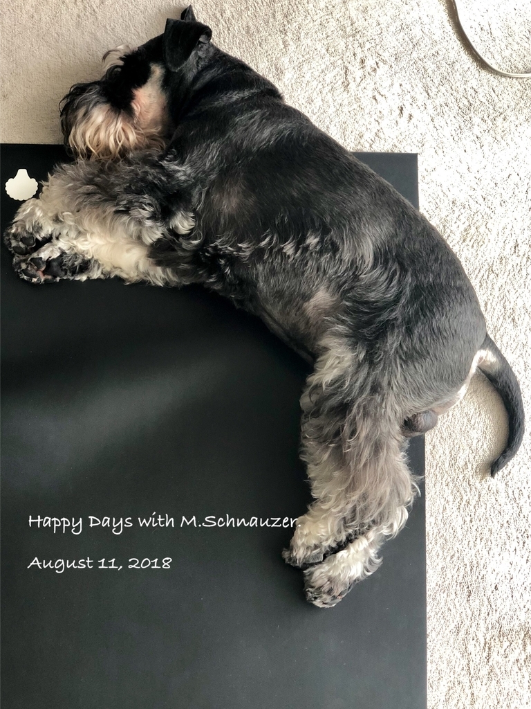 f:id:lovelyanzu:20190114113240j:plain f:id:lovelyanzu:20190114113240j:plain