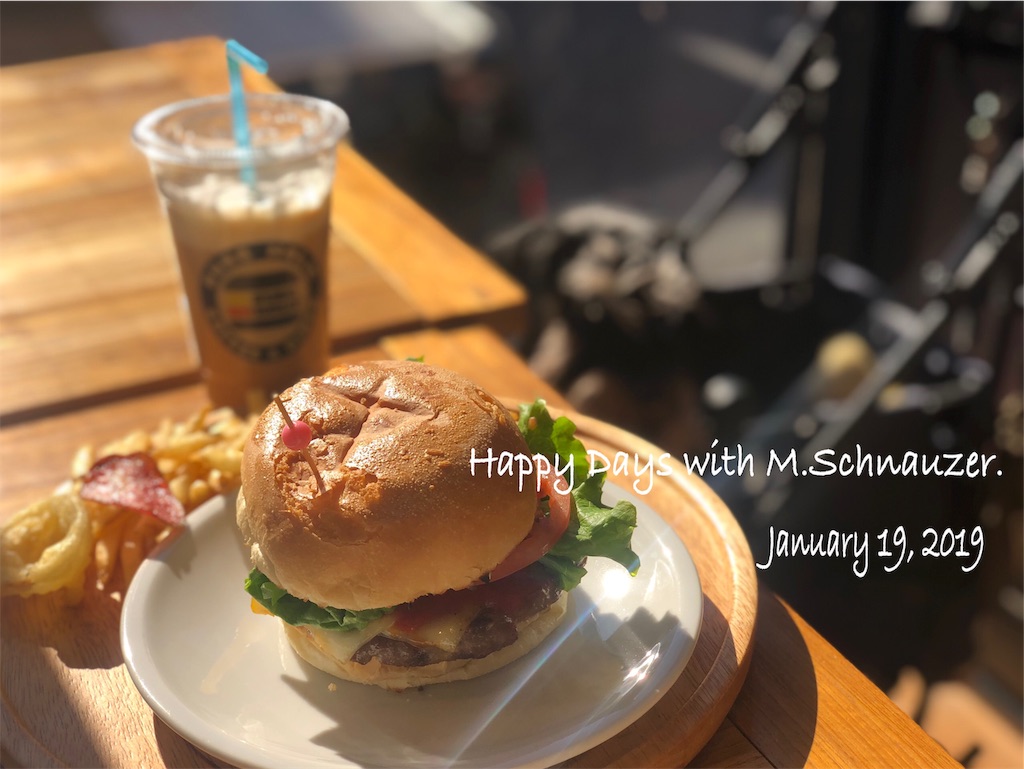 f:id:lovelyanzu:20190119123654j:plain f:id:lovelyanzu:20190119123654j:plain