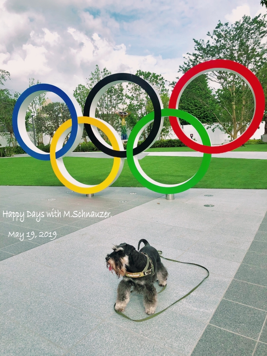 f:id:lovelyanzu:20190519192551j:plain f:id:lovelyanzu:20190519192551j:plain