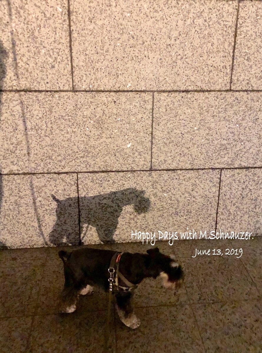 f:id:lovelyanzu:20190614220936j:plain