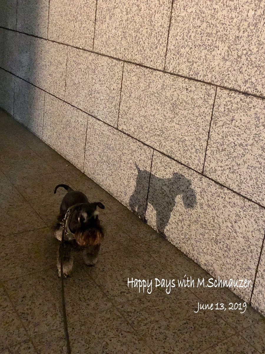 f:id:lovelyanzu:20190614221012j:plain