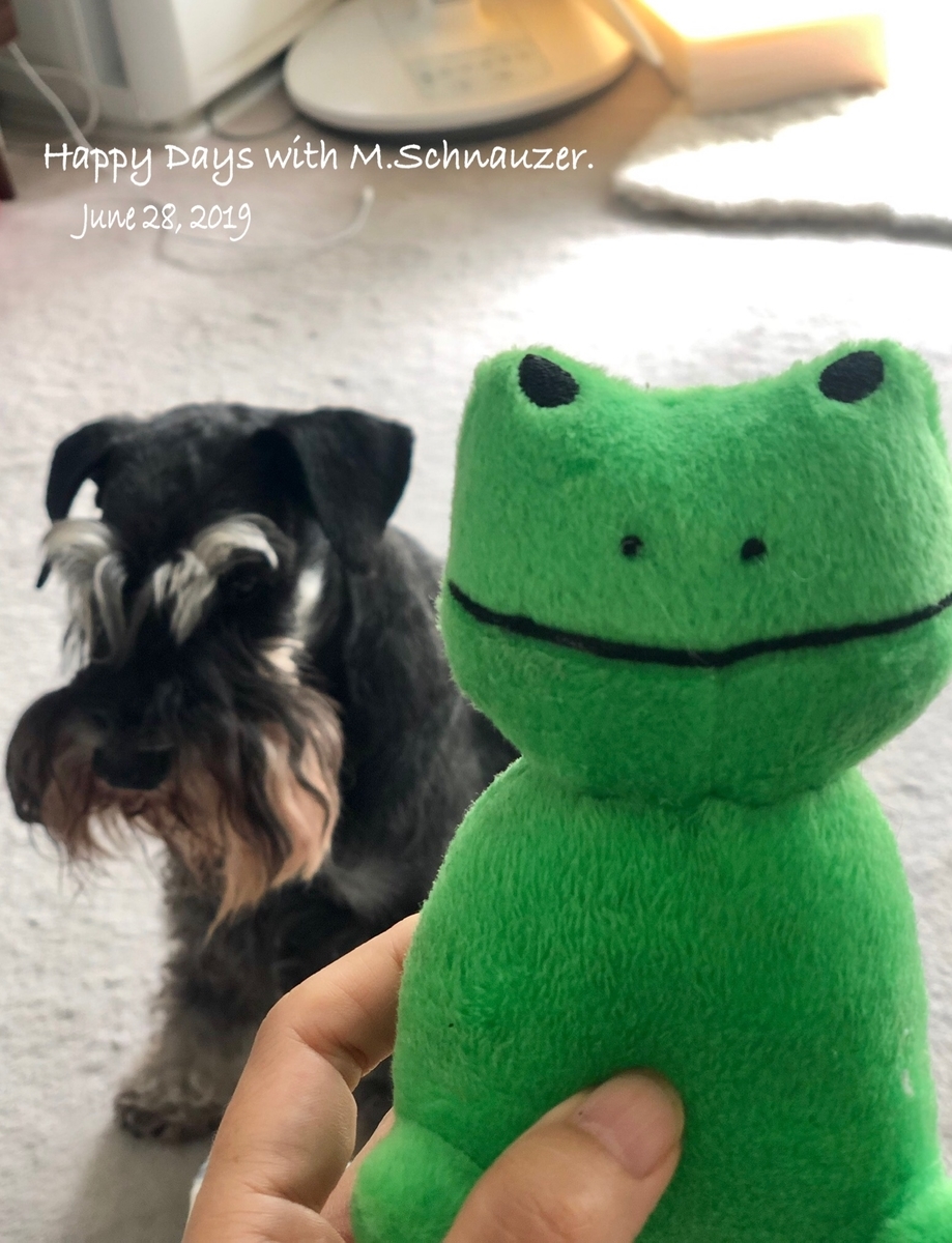 f:id:lovelyanzu:20190629211121j:plain f:id:lovelyanzu:20190629211121j:plain