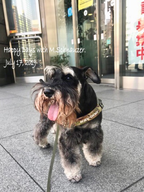 f:id:lovelyanzu:20190718201150j:plain f:id:lovelyanzu:20190718201150j:plain