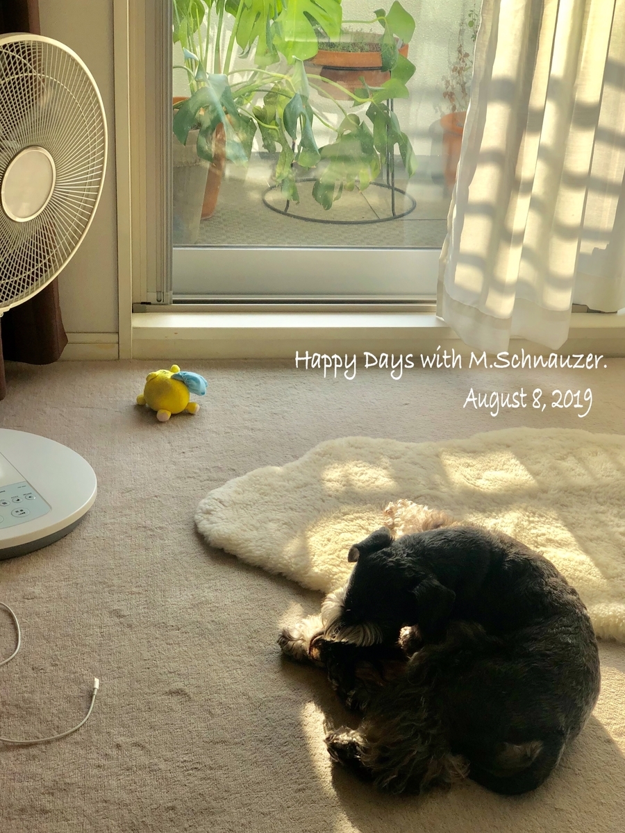 f:id:lovelyanzu:20190808072026j:plain