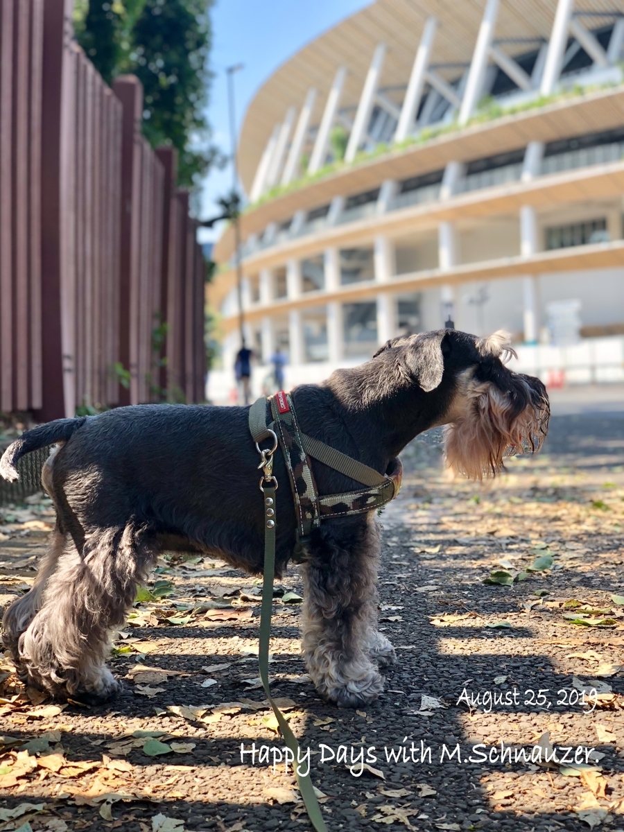 f:id:lovelyanzu:20190825163240j:plain