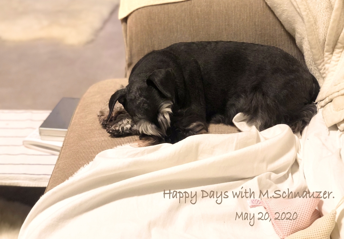 f:id:lovelyanzu:20200521075902j:plain