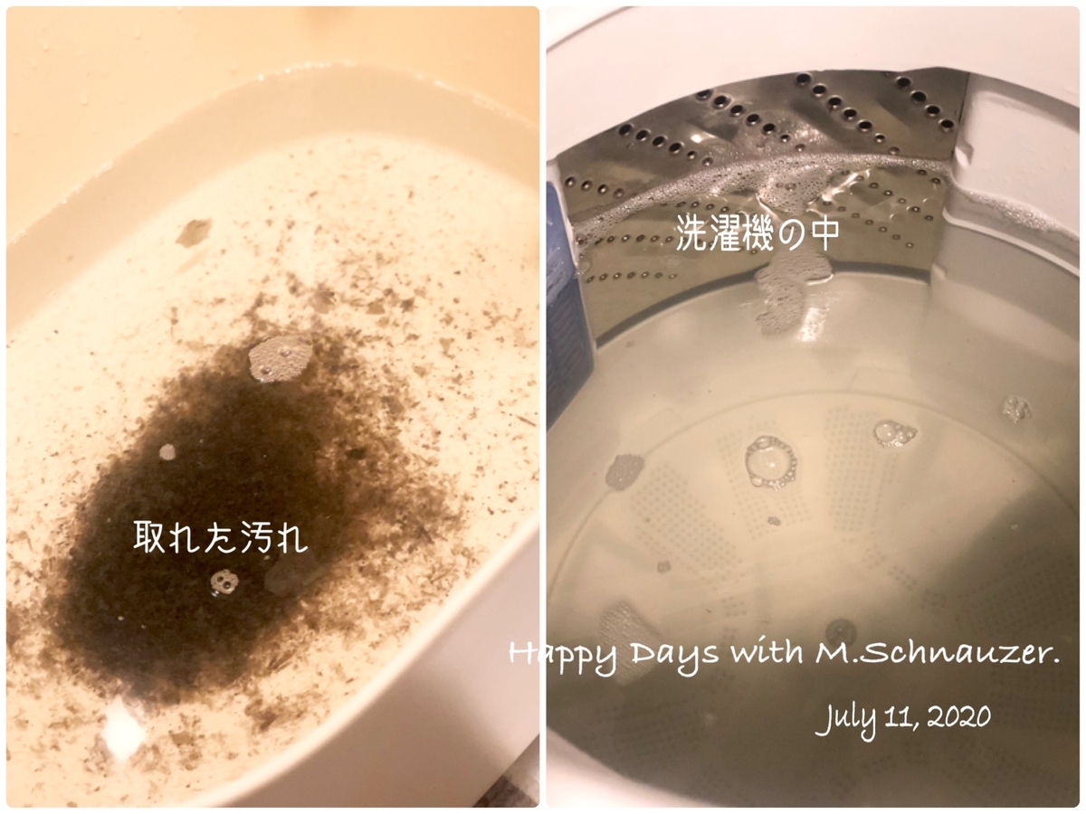 f:id:lovelyanzu:20200713125245j:plain f:id:lovelyanzu:20200713125245j:plain