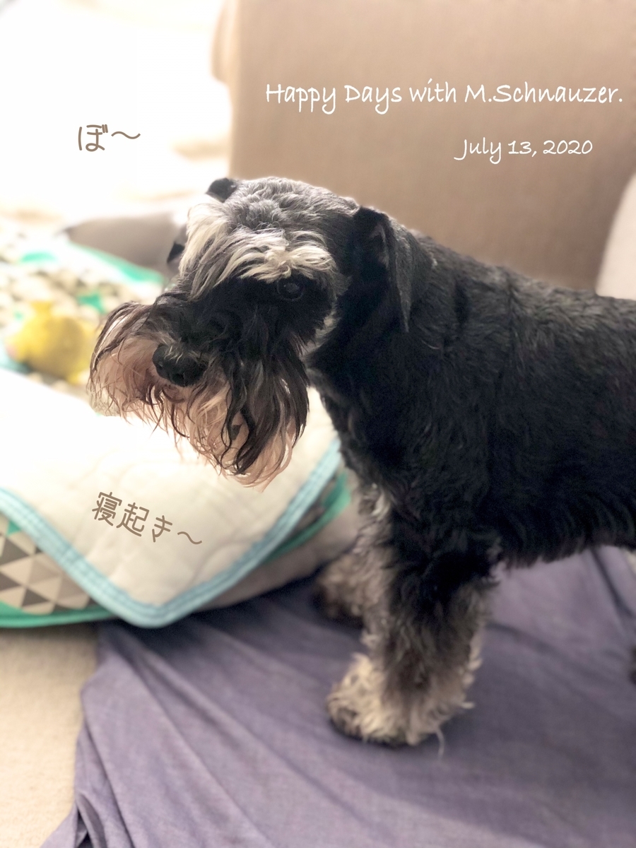 f:id:lovelyanzu:20200713125440j:plain f:id:lovelyanzu:20200713125440j:plain