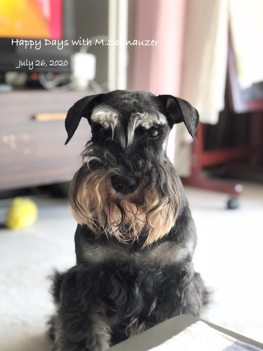 f:id:lovelyanzu:20200726214425j:plain f:id:lovelyanzu:20200726214425j:plain