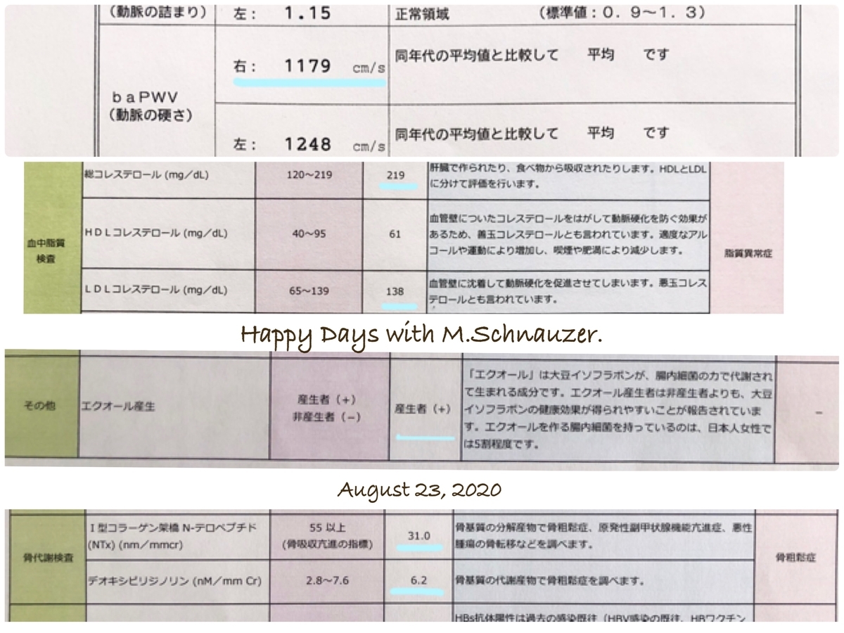 f:id:lovelyanzu:20200823161118j:plain