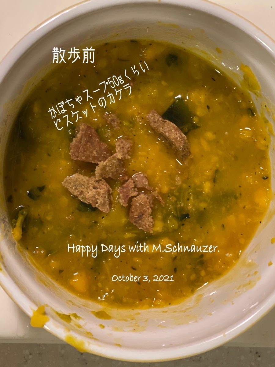 f:id:lovelyanzu:20211003141027j:plain
