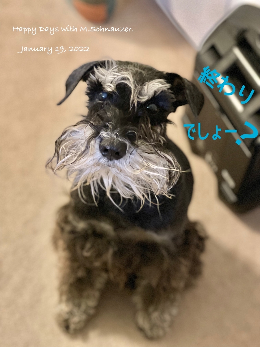 f:id:lovelyanzu:20220120193721j:plain