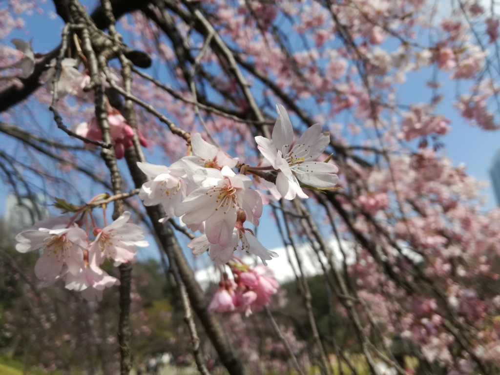 f:id:lovemetonakai:20170404205202j:plain f:id:lovemetonakai:20170404205202j:plain