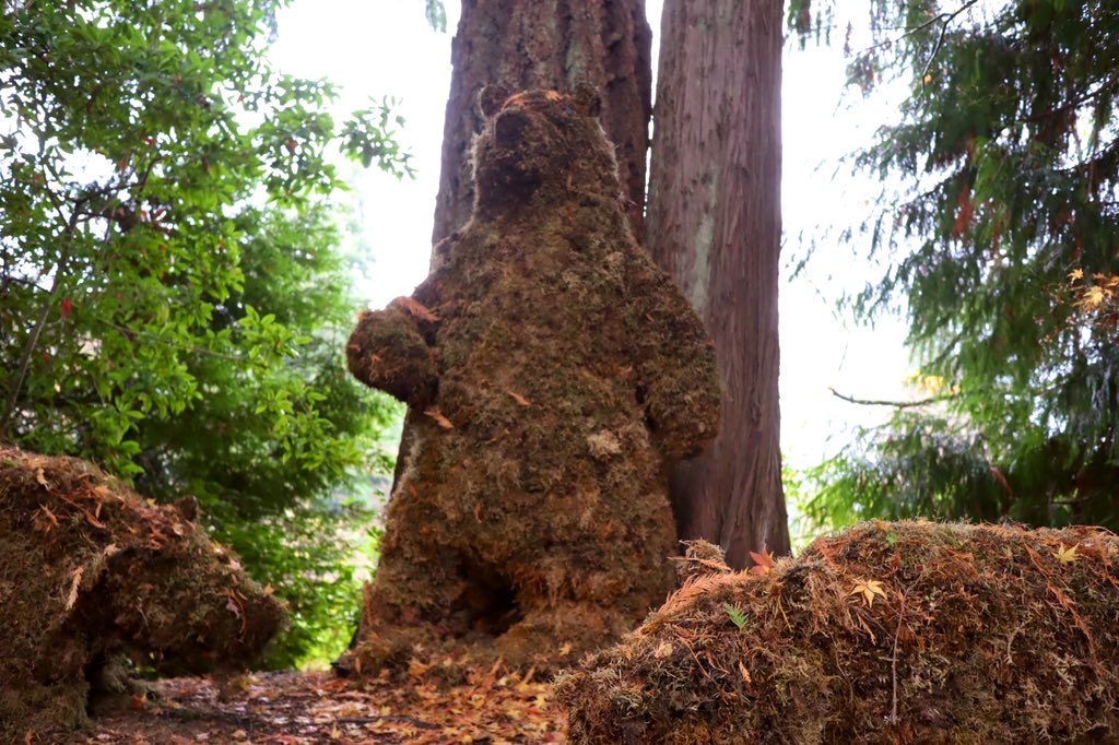 f:id:lovemoon:20200403183925j:plain