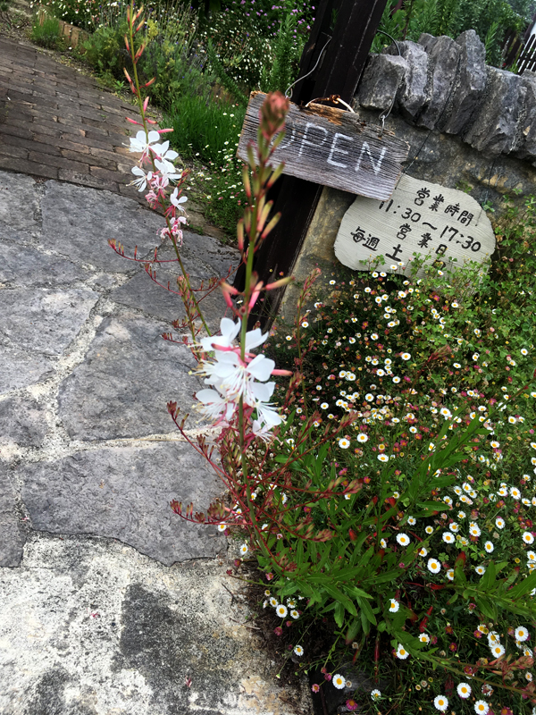 f:id:lovenorimo:20190724040535j:plain f:id:lovenorimo:20190724040535j:plain