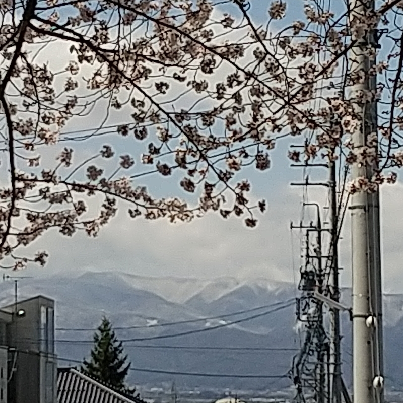 f:id:loveppap:20200415113150j:plain f:id:loveppap:20200415113150j:plain