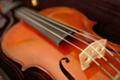 violin