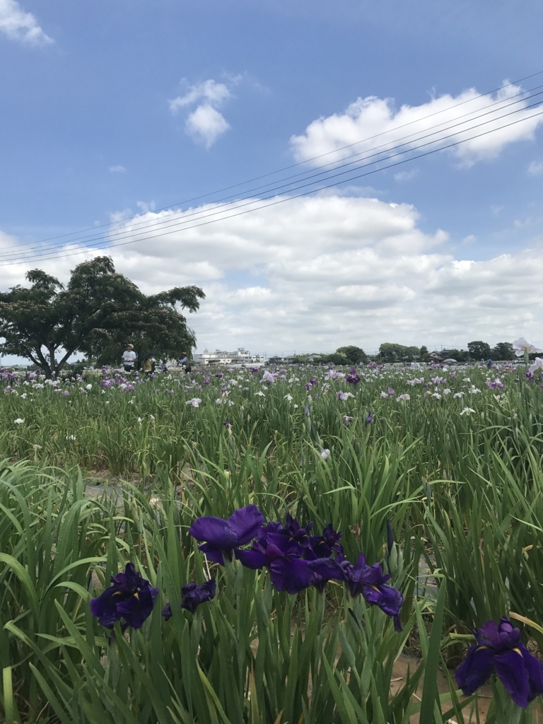 f:id:loverockbeer:20180608152950j:plain