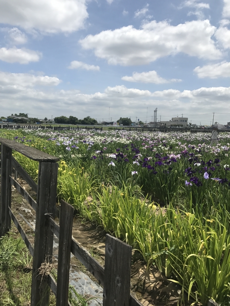 f:id:loverockbeer:20180608153308j:plain