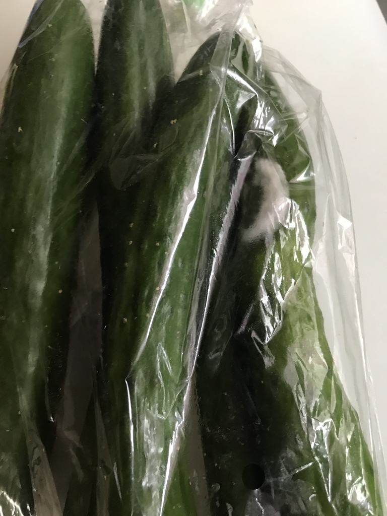 f:id:loverockbeer:20180902170633j:plain