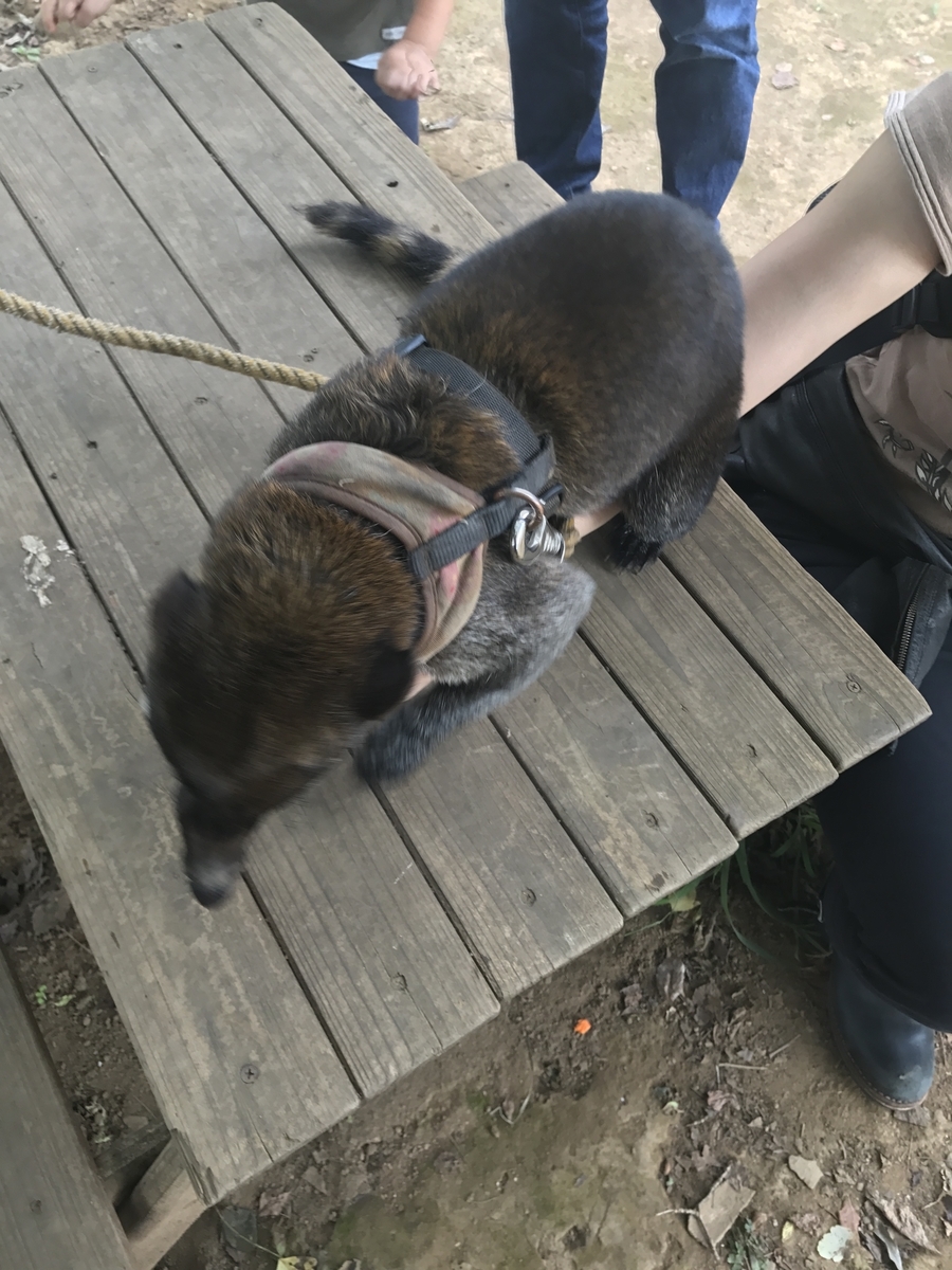 f:id:loverockbeer:20191207152248j:plain