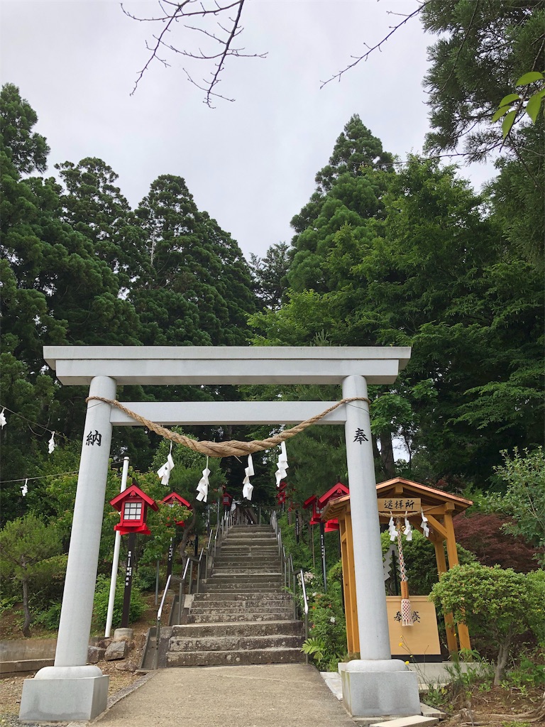f:id:loves-cat-go:20190627145454j:image f:id:loves-cat-go:20190627145454j:image