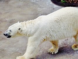 f:id:lovestamp:20180515210212j:plain