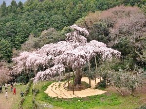 f:id:lovestamp:20180516100126j:plain f:id:lovestamp:20180516100126j:plain