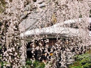 f:id:lovestamp:20180516100148j:plain f:id:lovestamp:20180516100148j:plain