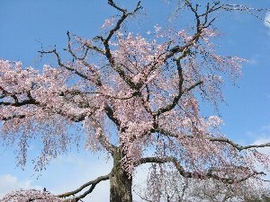 f:id:lovestamp:20180516100412j:plain f:id:lovestamp:20180516100412j:plain