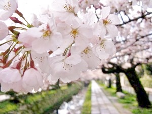 f:id:lovestamp:20180516100426j:plain f:id:lovestamp:20180516100426j:plain