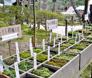 f:id:lovestamp:20180516100454j:plain f:id:lovestamp:20180516100454j:plain