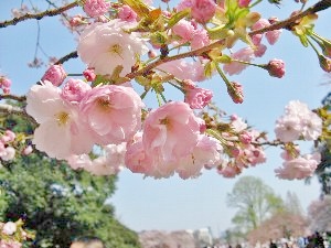 f:id:lovestamp:20180516100808j:plain f:id:lovestamp:20180516100808j:plain