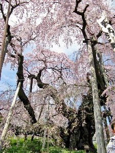 f:id:lovestamp:20180516101047j:plain f:id:lovestamp:20180516101047j:plain