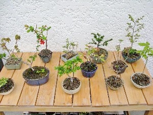 f:id:lovestamp:20180516101335j:plain