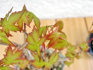 f:id:lovestamp:20180516101353j:plain