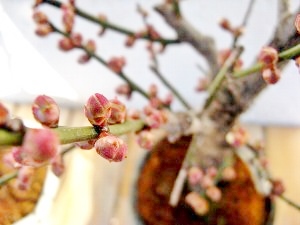 f:id:lovestamp:20180516225433j:plain