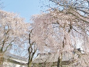 f:id:lovestamp:20180518230637j:plain