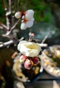 f:id:lovestamp:20180522103706j:plain f:id:lovestamp:20180522103706j:plain