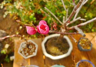 f:id:lovestamp:20180522104553j:plain